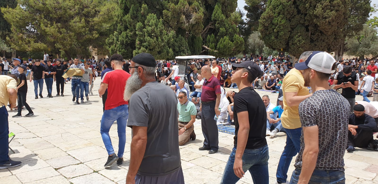 WhatsApp Image 2021-05-21 at 3.16.55 PM.jpeg